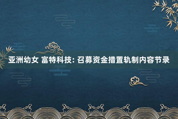 亚洲幼女 富特科技: 召募资金措置轨制内容节录