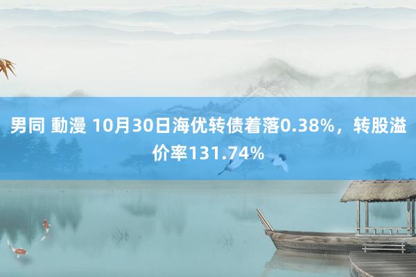 男同 動漫 10月30日海优转债着落0.38%，转股溢价率131.74%