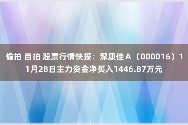 偷拍 自拍 股票行情快报：深康佳Ａ（000016）11月28日主力资金净买入1446.87万元