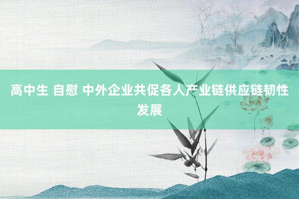 高中生 自慰 中外企业共促各人产业链供应链韧性发展