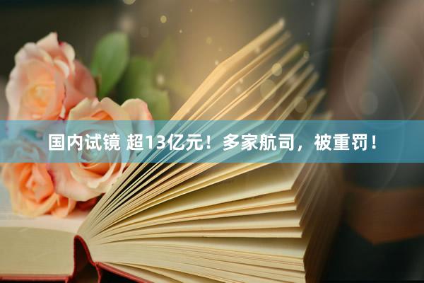 国内试镜 超13亿元！多家航司，被重罚！