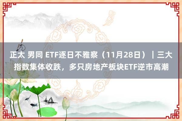 正太 男同 ETF逐日不雅察（11月28日）｜三大指数集体收跌，多只房地产板块ETF逆市高潮