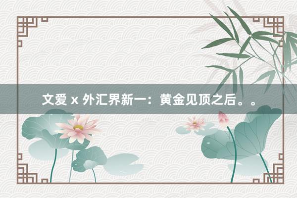 文爱 x 外汇界新一：黄金见顶之后。。