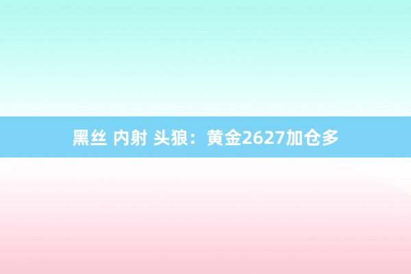 黑丝 内射 头狼:黄金2627加仓多