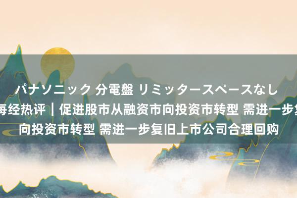 パナソニック 分電盤 リミッタースペースなし 露出・半埋込両用形 每经热评︱促进股市从融资市向投资市转型 需进一步复旧上市公司合理回购