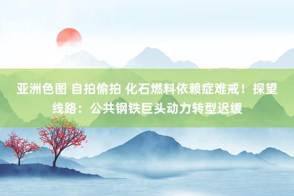 亚洲色图 自拍偷拍 化石燃料依赖症难戒！探望线路：公共钢铁巨头动力转型迟缓