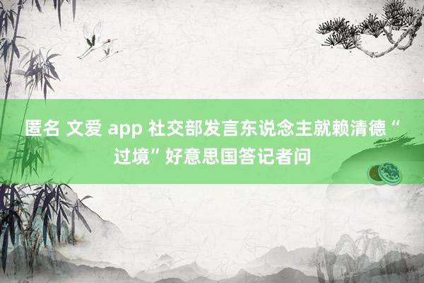匿名 文爱 app 社交部发言东说念主就赖清德“过境”好意思国答记者问