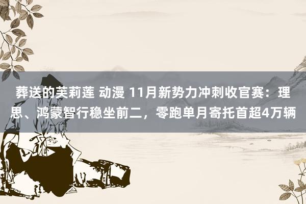 葬送的芙莉莲 动漫 11月新势力冲刺收官赛：理思、鸿蒙智行稳坐前二，零跑单月寄托首超4万辆