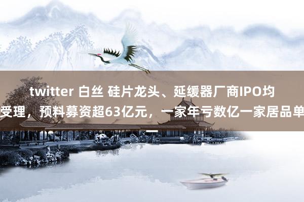 twitter 白丝 硅片龙头、延缓器厂商IPO均获受理，预料募资超63亿元，一家年亏数亿一家居品单一