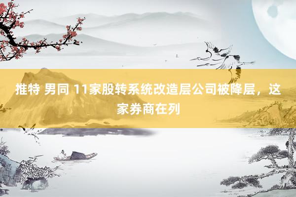 推特 男同 11家股转系统改造层公司被降层，这家券商在列