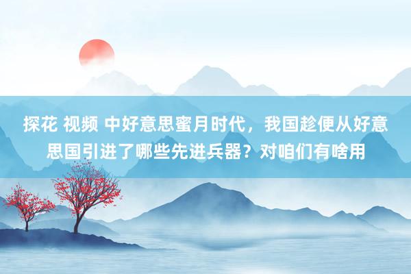 探花 视频 中好意思蜜月时代，我国趁便从好意思国引进了哪些先进兵器？对咱们有啥用