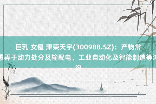 巨乳 女優 津荣天宇(300988.SZ)：产物常常愚弄于动力处分及输配电、工业自动化及智能制造等鸿沟