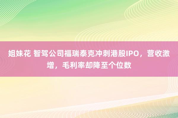 姐妹花 智驾公司福瑞泰克冲刺港股IPO，营收激增，毛利率却降至个位数