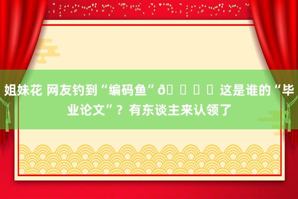 姐妹花 网友钓到“编码鱼”🐟️这是谁的“毕业论文”？有东谈主来认领了
