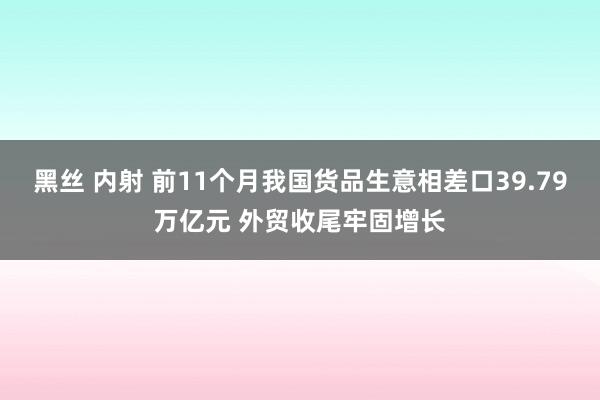 黑丝 内射 前11个月我国货品生意相差口39.79万亿元 外贸收尾牢固增长