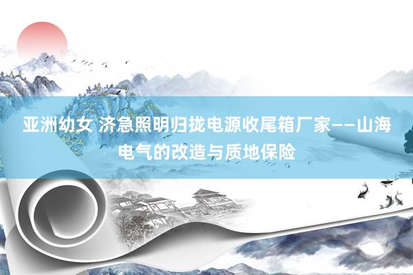亚洲幼女 济急照明归拢电源收尾箱厂家——山海电气的改造与质地保险