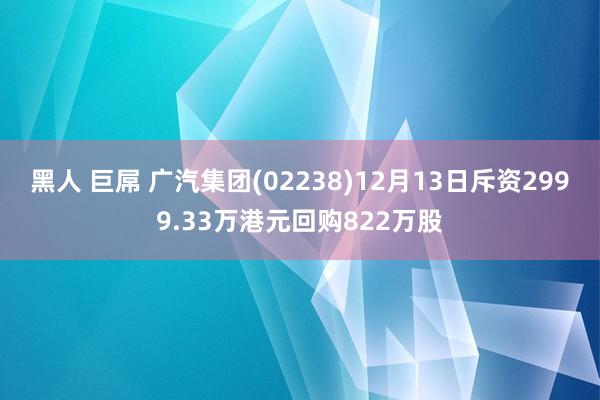 黑人 巨屌 广汽集团(02238)12月13日斥资2999.33万港元回购822万股