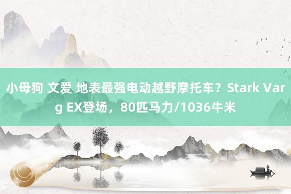 小母狗 文爱 地表最强电动越野摩托车？Stark Varg EX登场，80匹马力/1036牛米