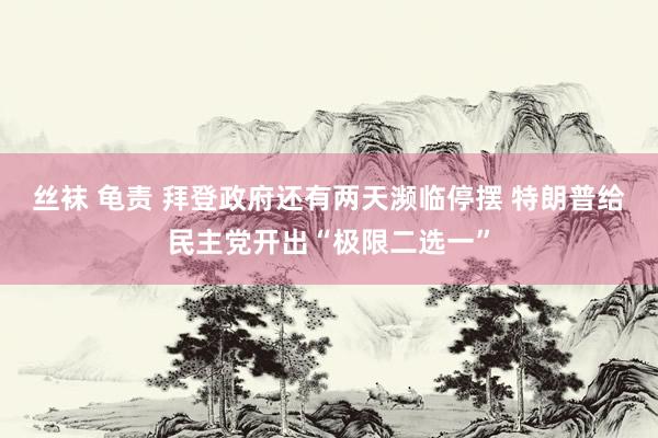 丝袜 龟责 拜登政府还有两天濒临停摆 特朗普给民主党开出“极限二选一”