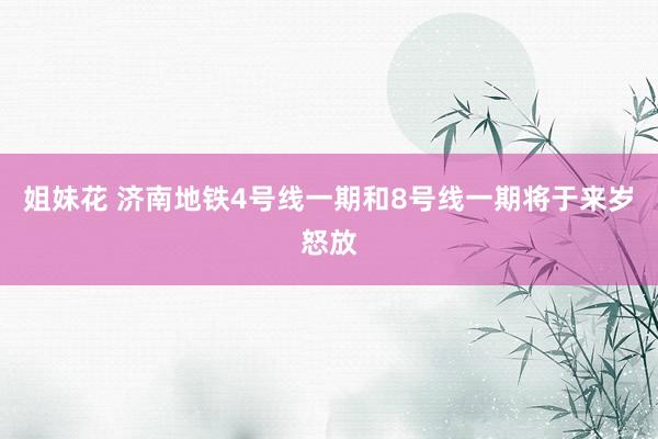 姐妹花 济南地铁4号线一期和8号线一期将于来岁怒放