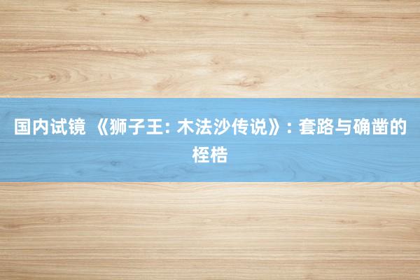 国内试镜 《狮子王: 木法沙传说》: 套路与确凿的桎梏