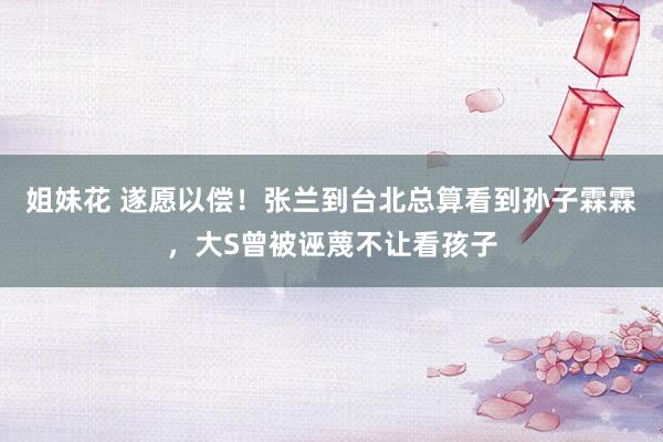 姐妹花 遂愿以偿！张兰到台北总算看到孙子霖霖，大S曾被诬蔑不让看孩子