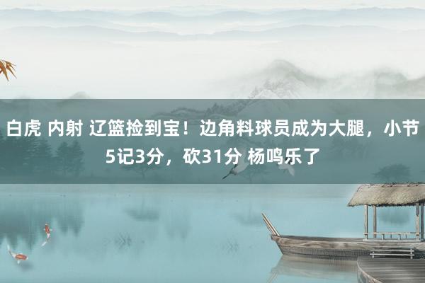 白虎 内射 辽篮捡到宝！边角料球员成为大腿，小节5记3分，砍31分 杨鸣乐了