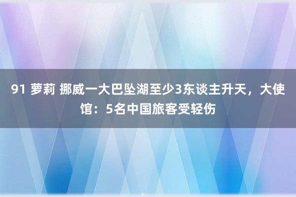 91 萝莉 挪威一大巴坠湖至少3东谈主升天，大使馆：5名中国旅客受轻伤