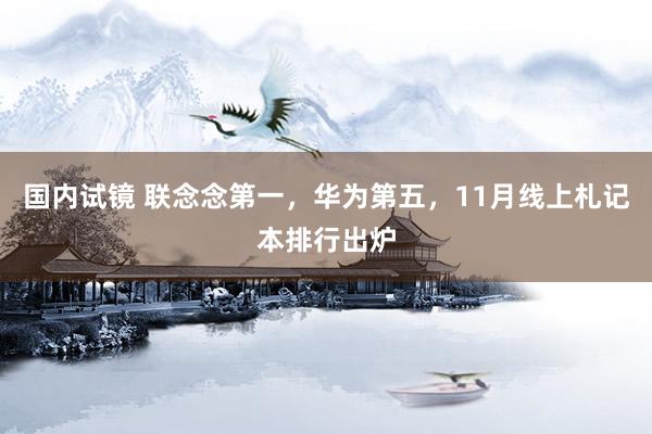 国内试镜 联念念第一，华为第五，11月线上札记本排行出炉