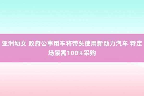 亚洲幼女 政府公事用车将带头使用新动力汽车 特定场景需100%采购