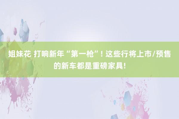 姐妹花 打响新年“第一枪”! 这些行将上市/预售的新车都是重磅家具!