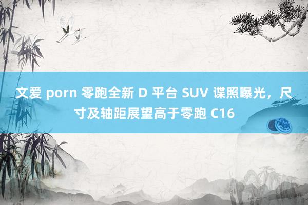 文爱 porn 零跑全新 D 平台 SUV 谍照曝光，尺寸及轴距展望高于零跑 C16