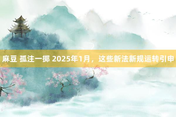 麻豆 孤注一掷 2025年1月，<a href=