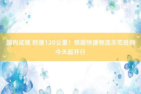 国内试镜 时速120公里！铁路快捷物流示范班列今天起开行