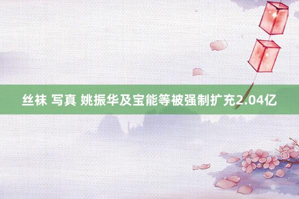 丝袜 写真 姚振华及宝能等被强制扩充2.04亿