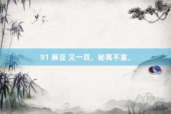 91 麻豆 又一双，秘离不宣。