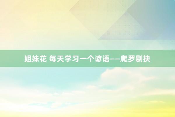 姐妹花 每天学习一个谚语——爬罗剔抉