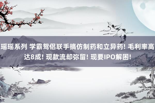 瑶瑶系列 学霸鸳侣联手搞仿制药和立异药! 毛利率高达8成! 现款流却弥留! 现要IPO解困!