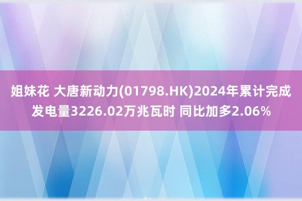姐妹花 大唐新动力(01798.HK)2024年累计完成发电量3226.02万兆瓦时 同比加多2.06%