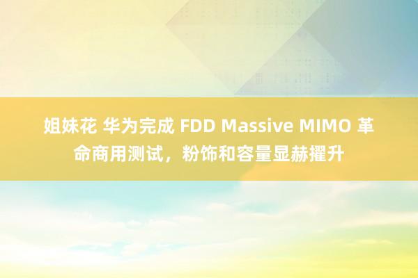 姐妹花 华为完成 FDD Massive MIMO 革命商用测试，粉饰和容量显赫擢升
