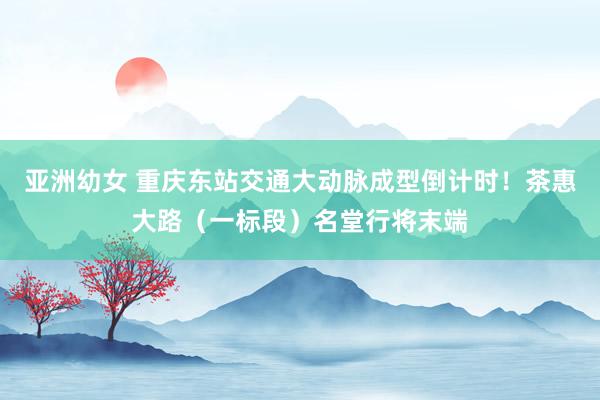 亚洲幼女 重庆东站交通大动脉成型倒计时！茶惠大路（一标段）名堂行将末端