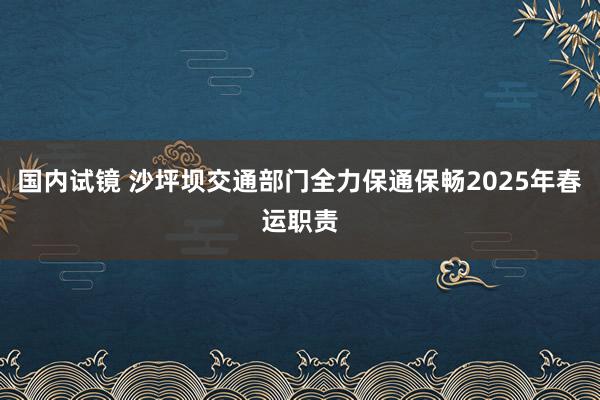 国内试镜 沙坪坝交通部门全力保通保畅2025年春运职责