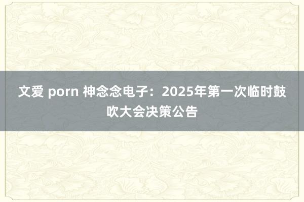 文爱 porn 神念念电子：2025年第一次临时鼓吹大会决策公告