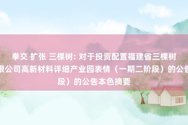 拳交 扩张 三棵树: 对于投资配置福建省三棵树新材料有限公司高新材料详细产业园表情（一期二阶段）的公告本色摘要