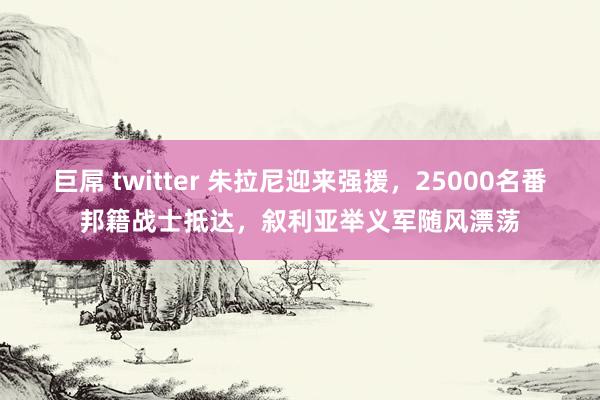 巨屌 twitter 朱拉尼迎来强援，25000名番邦籍战士抵达，叙利亚举义军随风漂荡