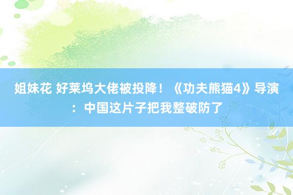 姐妹花 好莱坞大佬被投降！《功夫熊猫4》导演：中国这片子把我整破防了