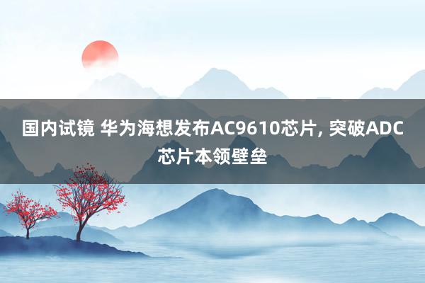 国内试镜 华为海想发布AC9610芯片， 突破ADC芯片本领壁垒