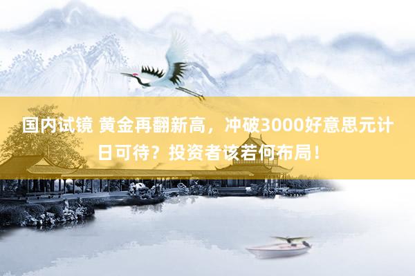 国内试镜 黄金再翻新高，冲破3000好意思元计日可待？投资者该若何布局！