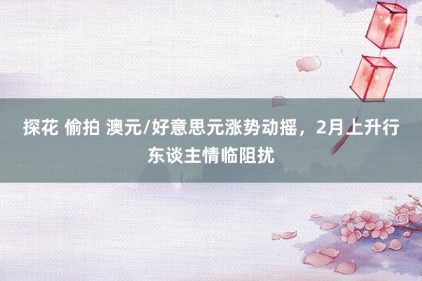 探花 偷拍 澳元/好意思元涨势动摇，2月上升行东谈主情临阻扰