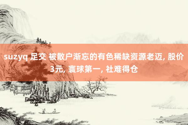 suzyq 足交 被散户渐忘的有色稀缺资源老迈， 股价3元， 寰球第一， 社难得仓